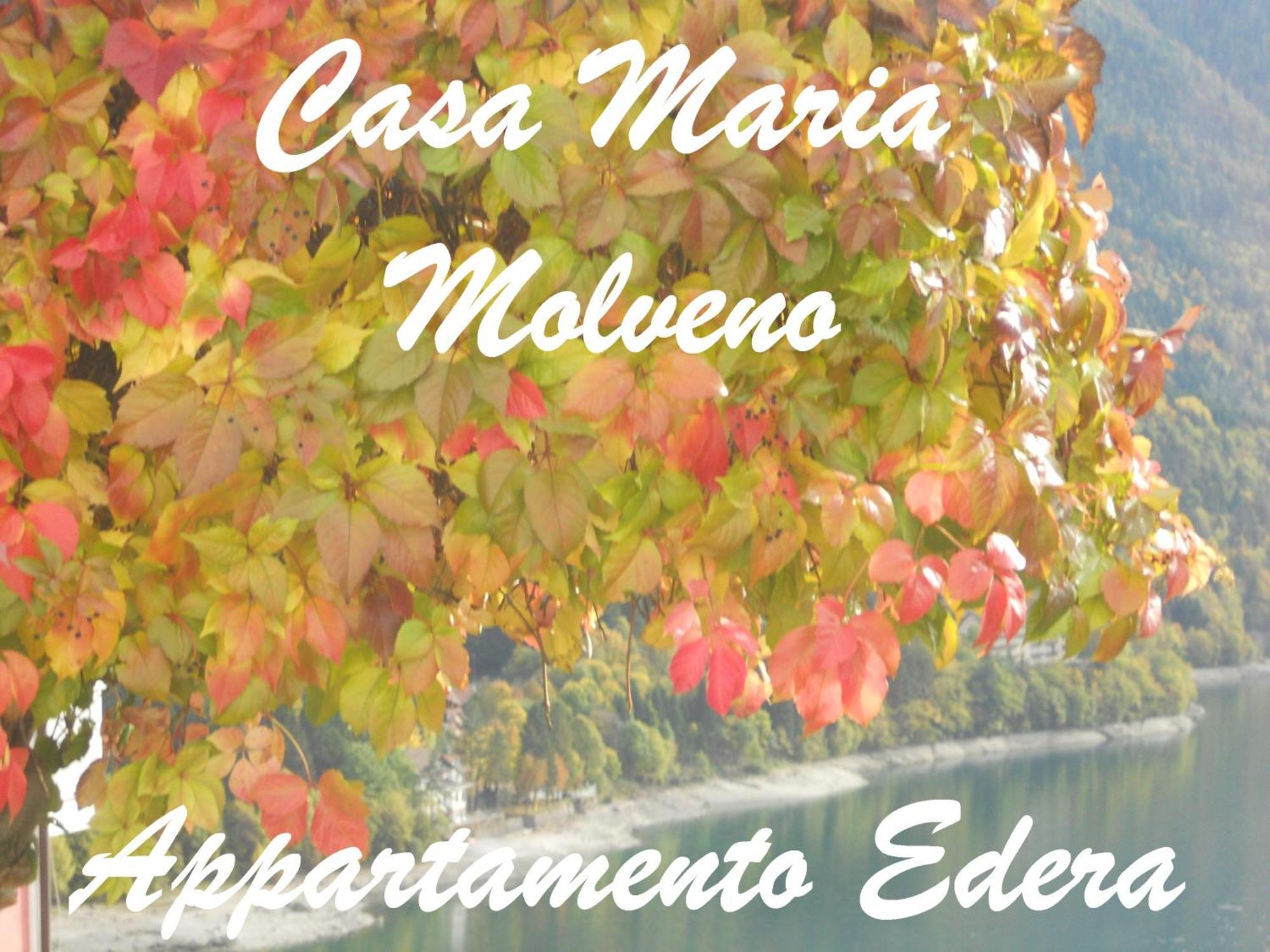Casa Maria Apartman Molveno Szoba fotó